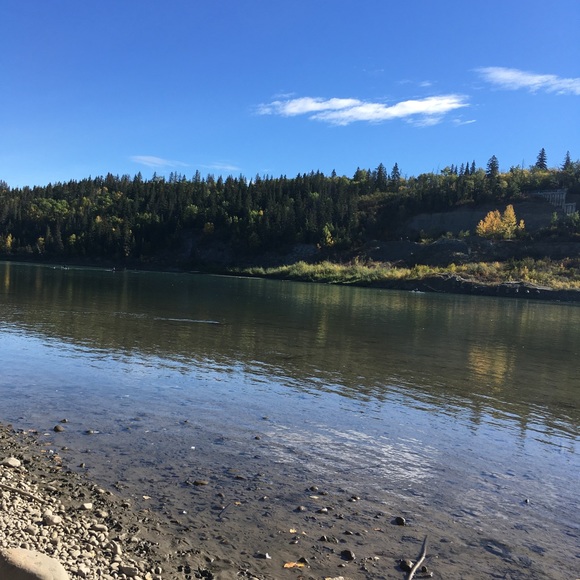 Meet your Posher, Paige - Picture 1 of 1